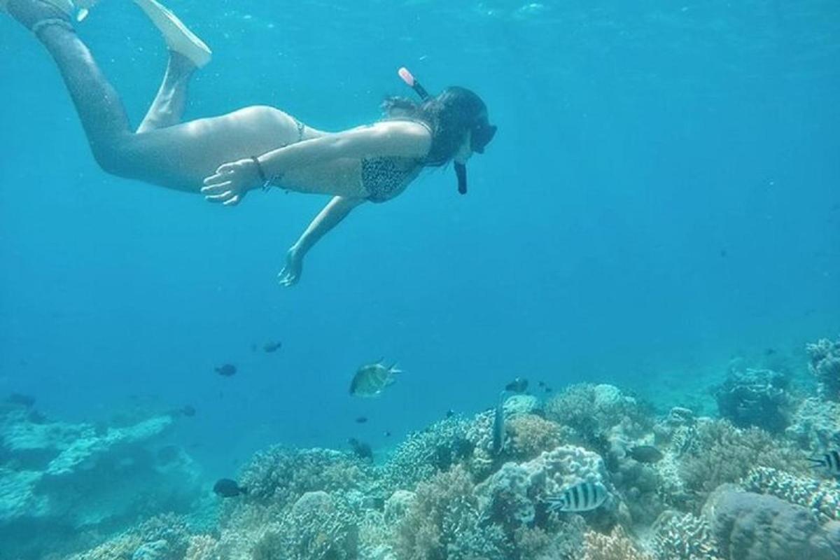 a woman is swimming over a coral reef