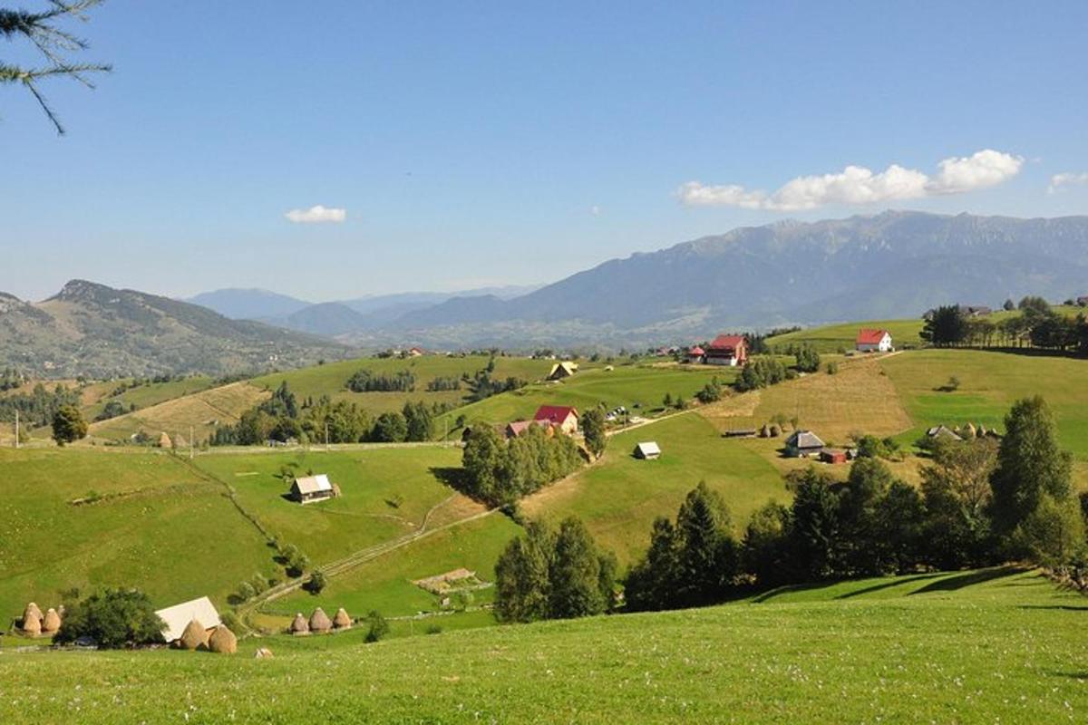 a green pasture with houses and mountains in the background