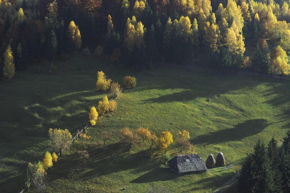 an aerial view of a field with a house in it