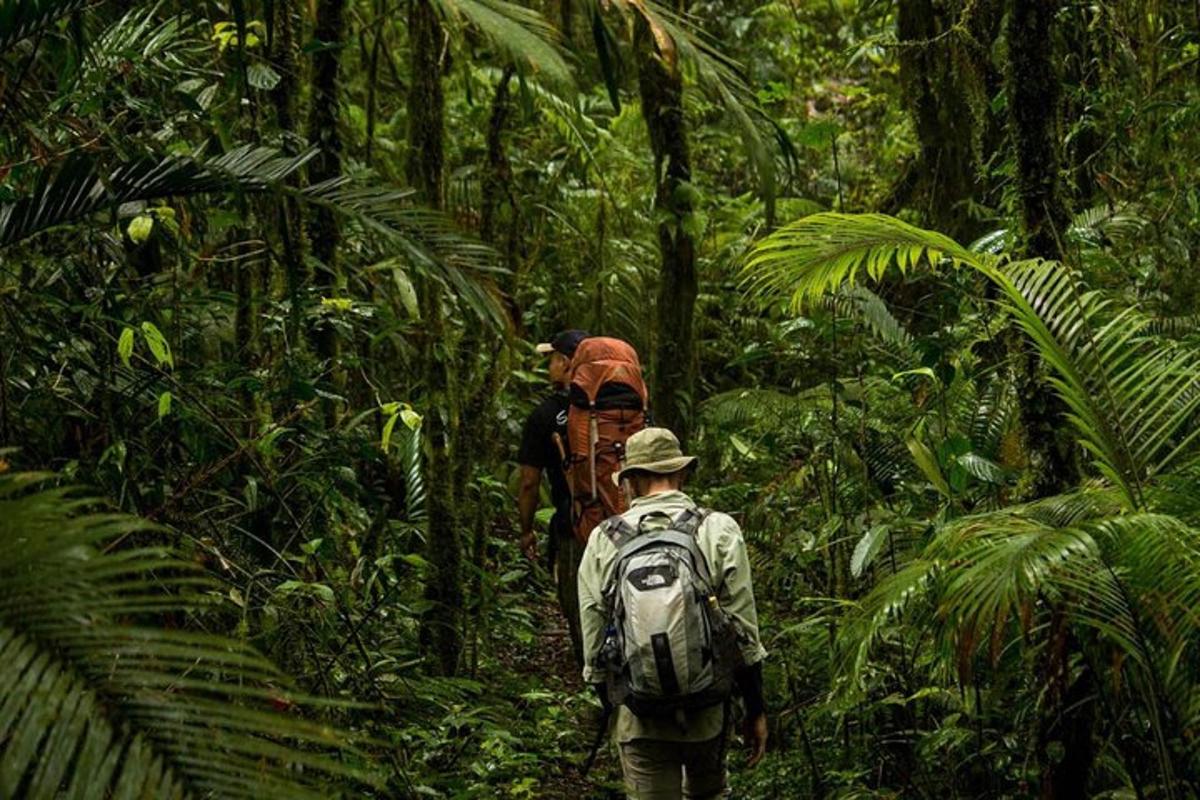 a man with a backpack walking in the jungle