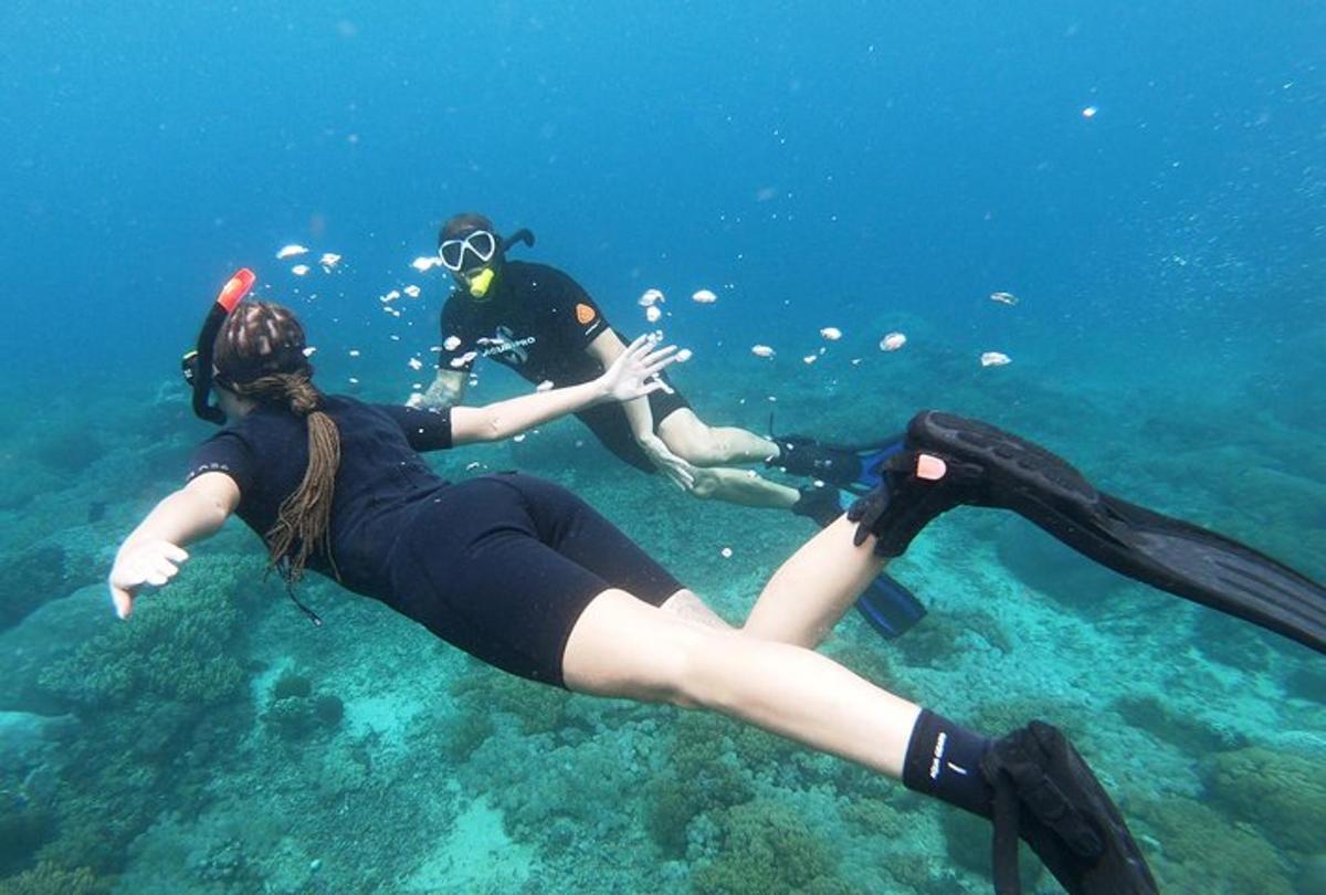 two people are scuba diving in the water