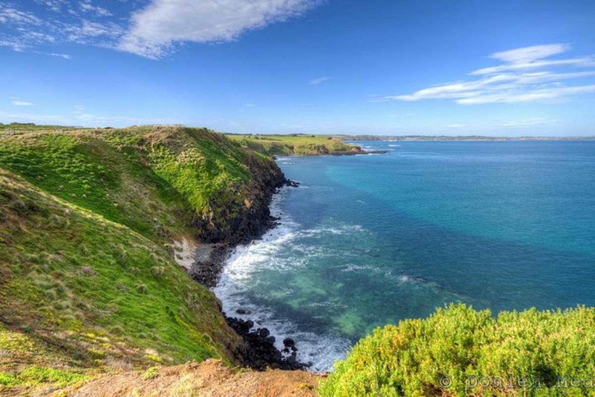 a view of the ocean from a hill