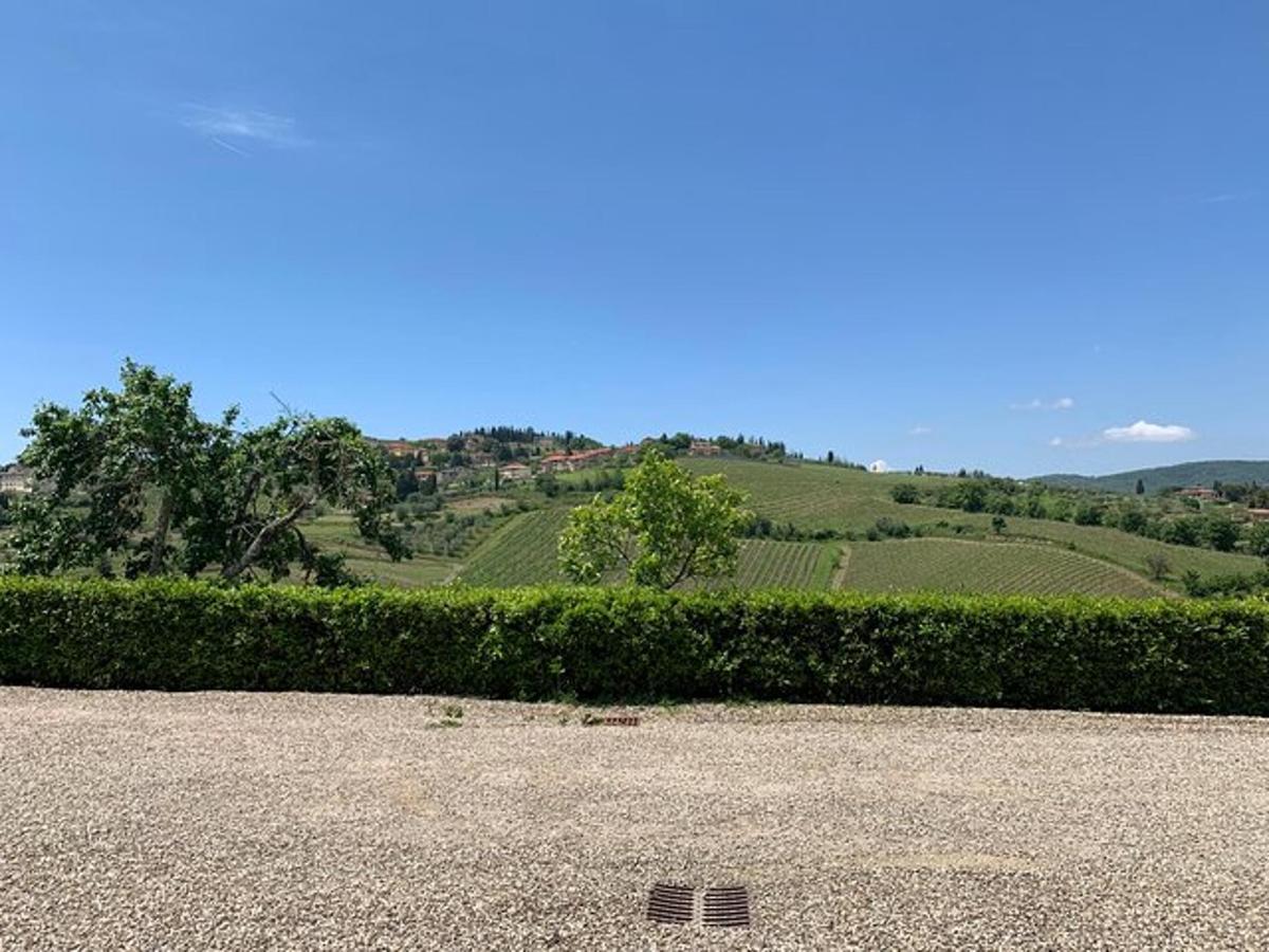 una siepe di fronte alla vista di una collina
