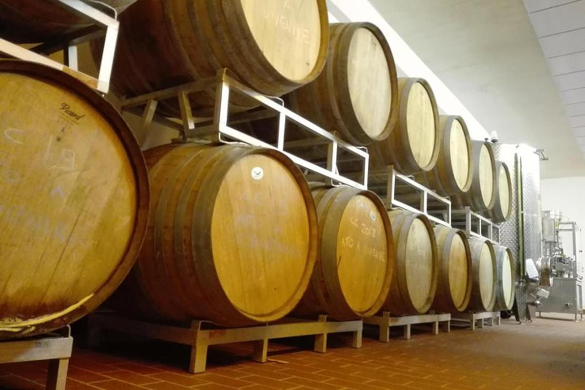 una fila di botti di legno in un magazzino