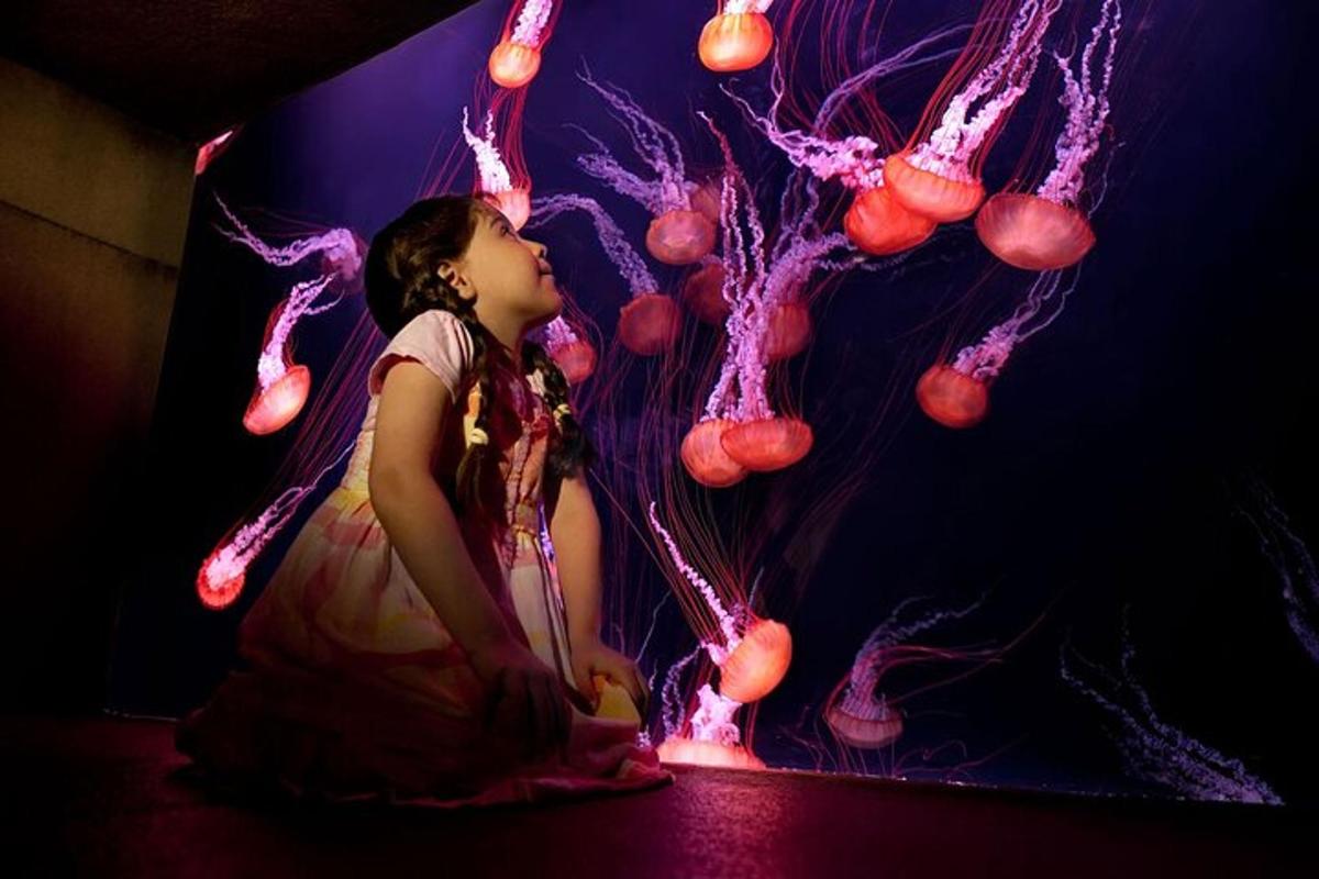 a young girl sitting in front of a display of lights