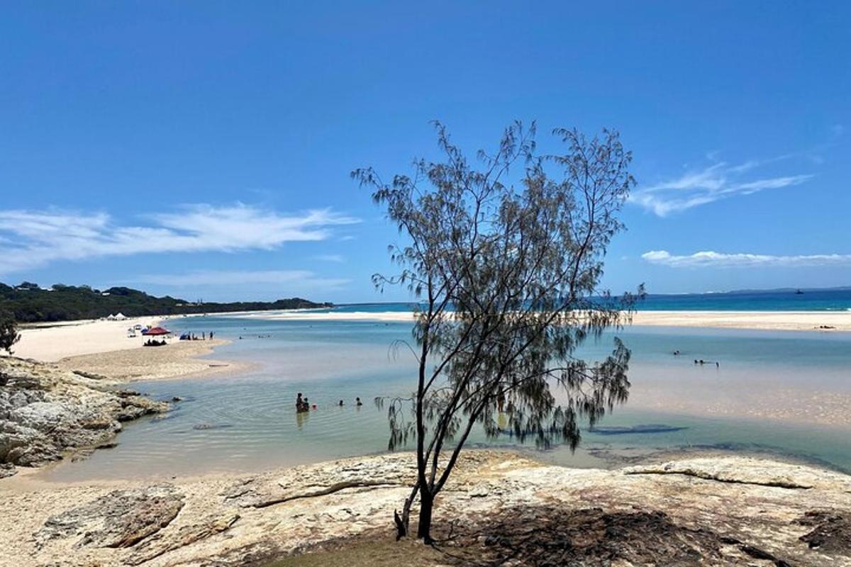 a beach with people swimming in the water