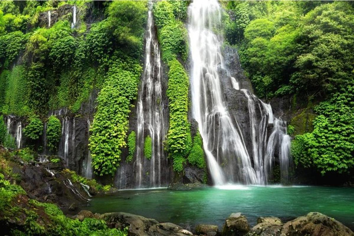 una cascada a la selva amb un bassal d'aigua