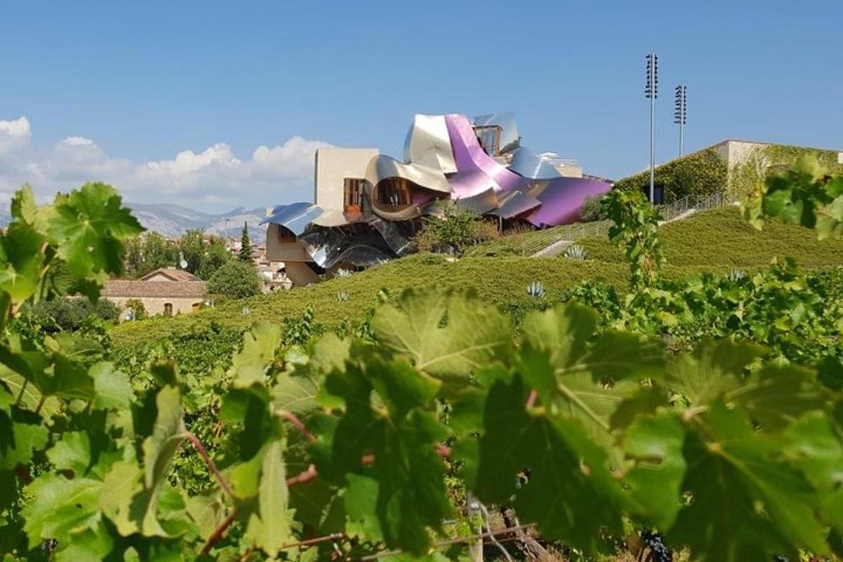un edificio in cima a una collina con piante