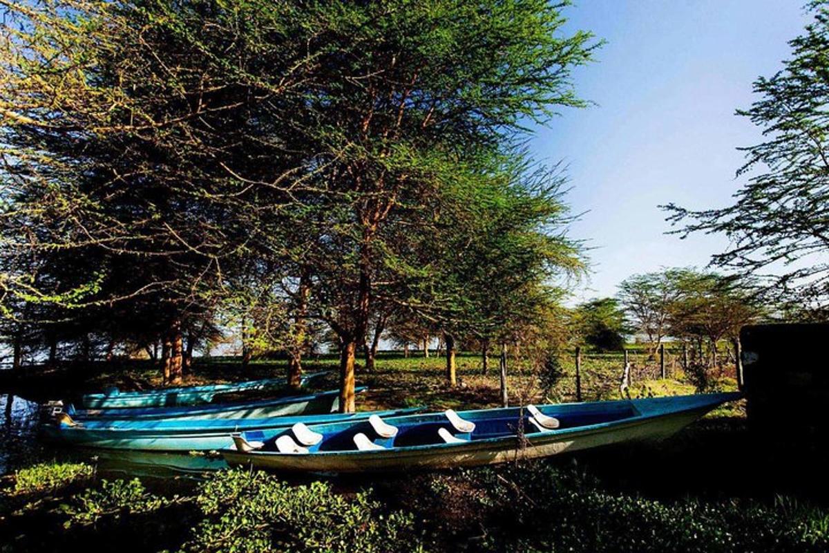 Un grupo de barcos azules en el agua.