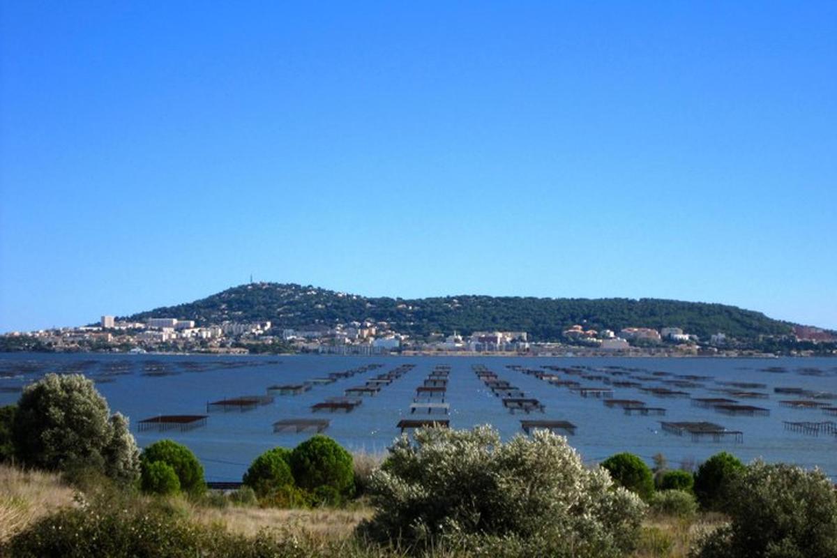 un grande porto turistico con molte barche in acqua