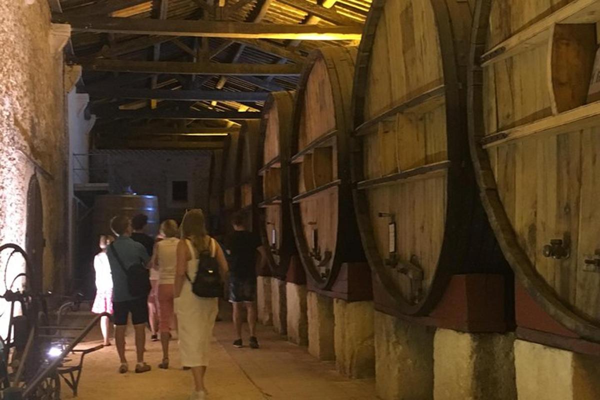 un gruppo di persone che camminano in una cantina vinicola