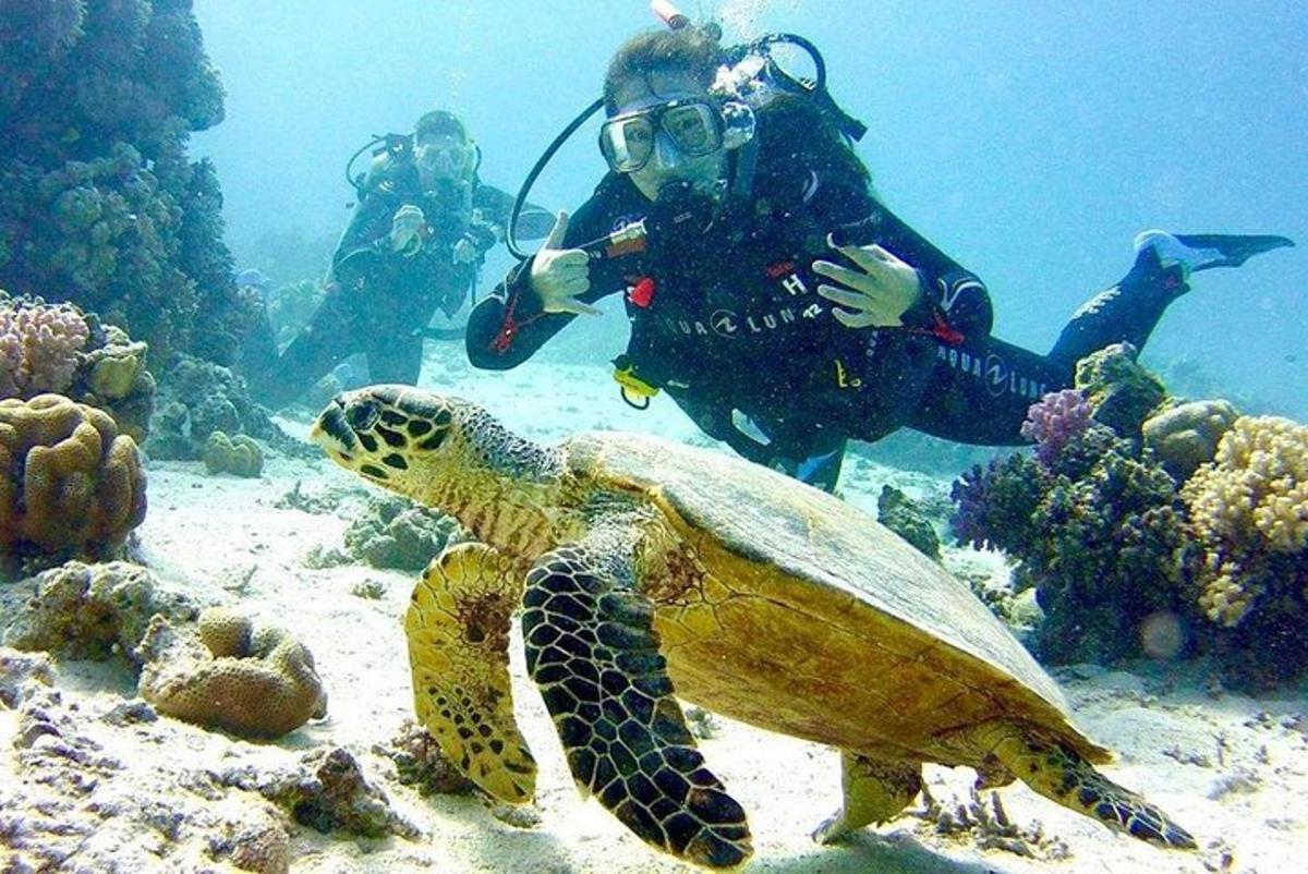 dva lidé ve vodě s želvou v oceánu