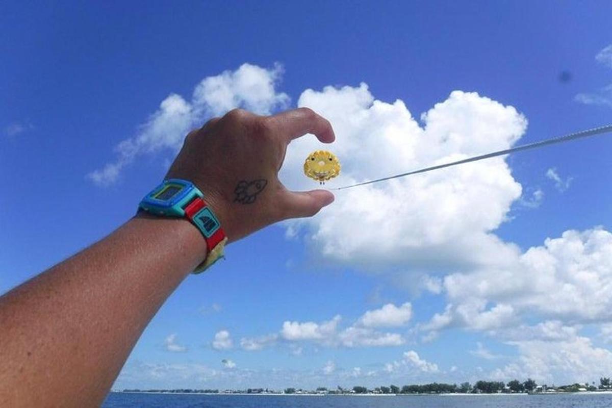 a person is holding a kite in the sky