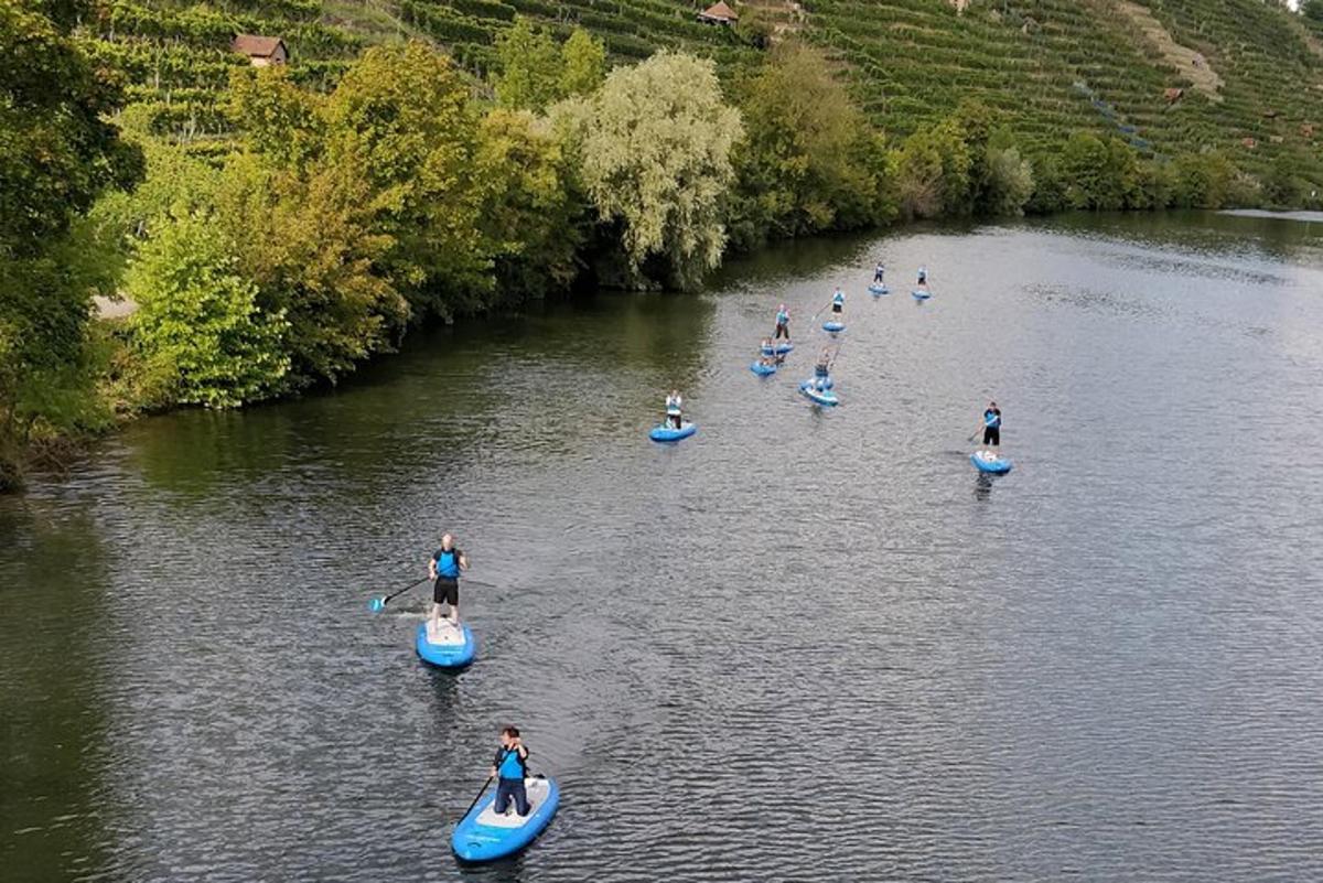 un gruppo di persone su tavole da paddle in un fiume