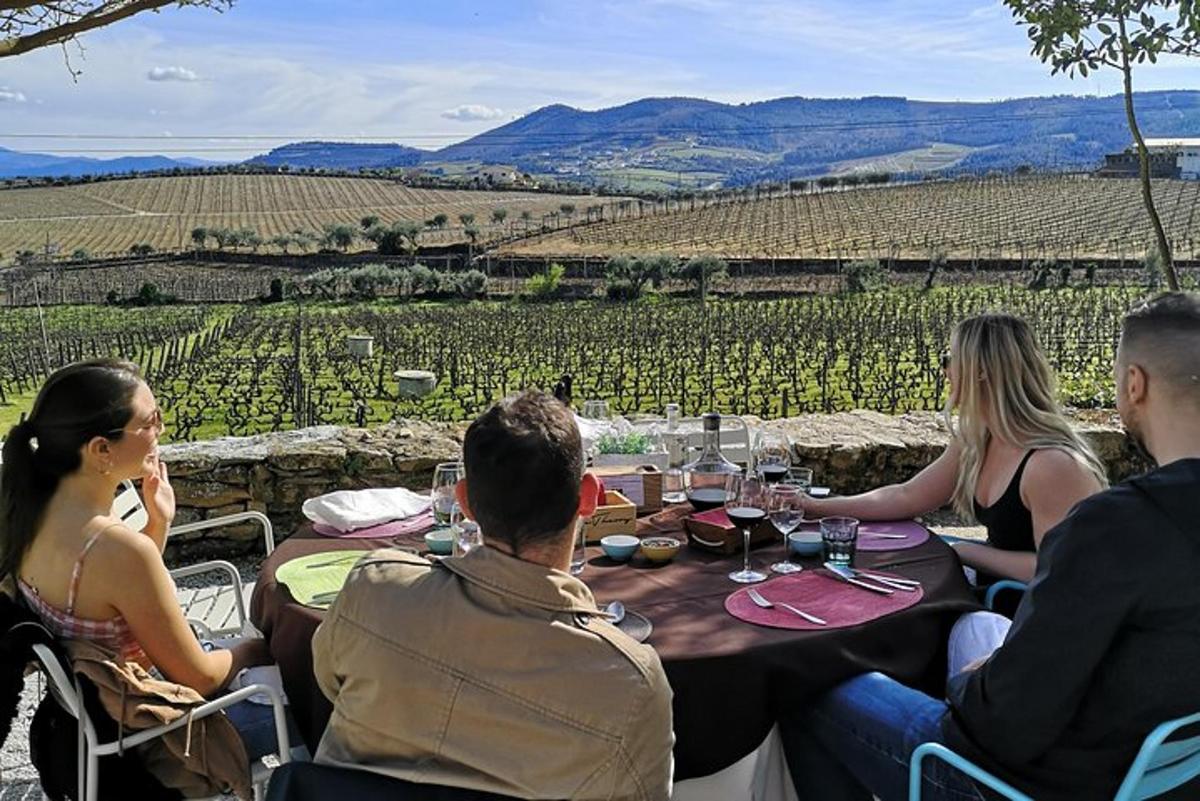 a group of people sitting at a table in front of a vineyard