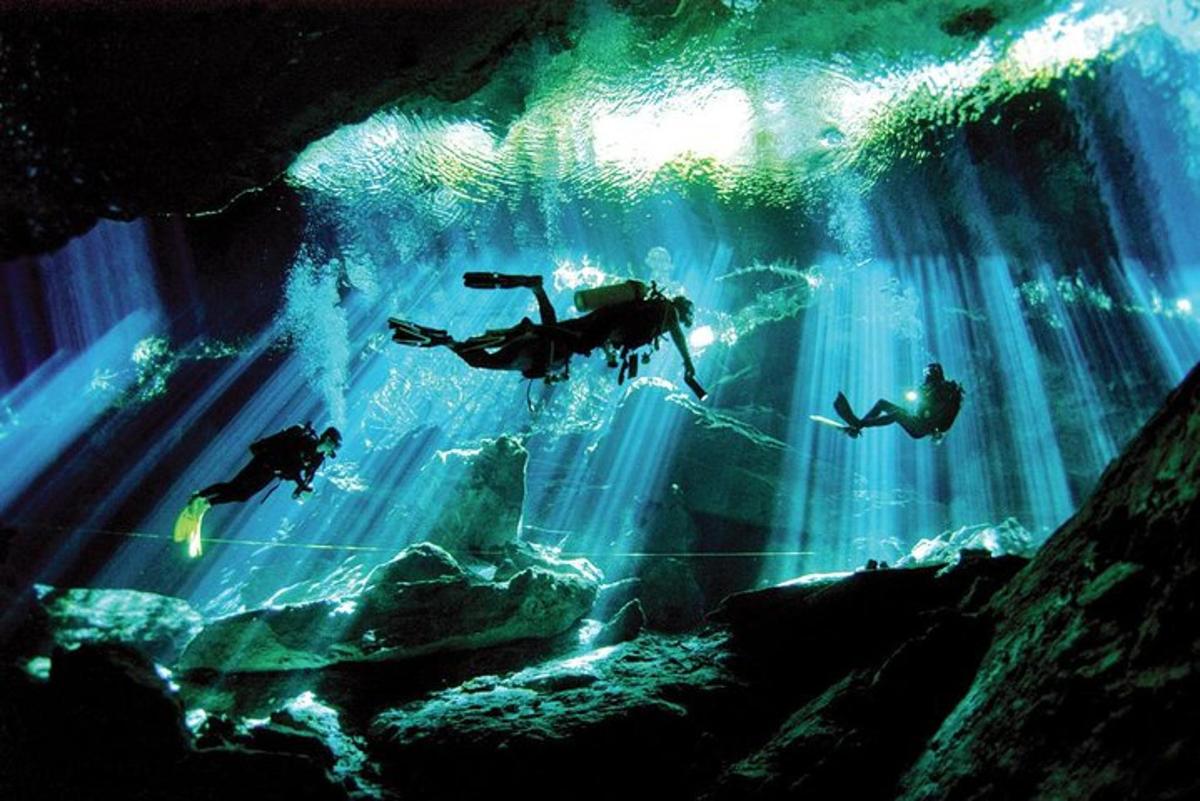 a group of people swimming in an underwater aquarium