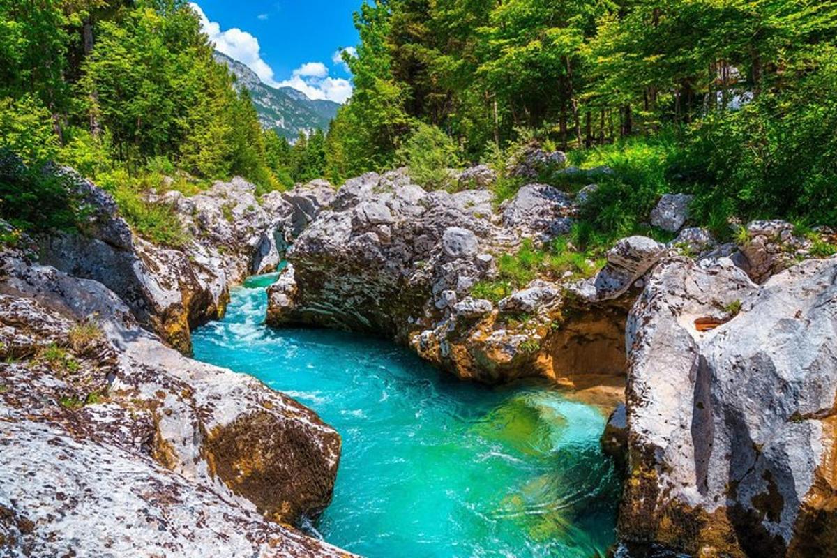 a river with blue water and some rocks and trees
