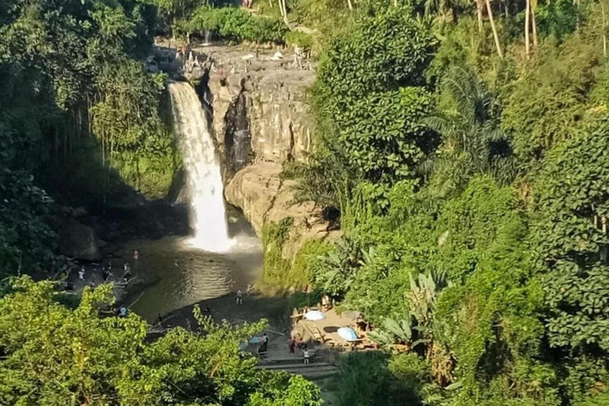 uma cachoeira no meio de um rio
