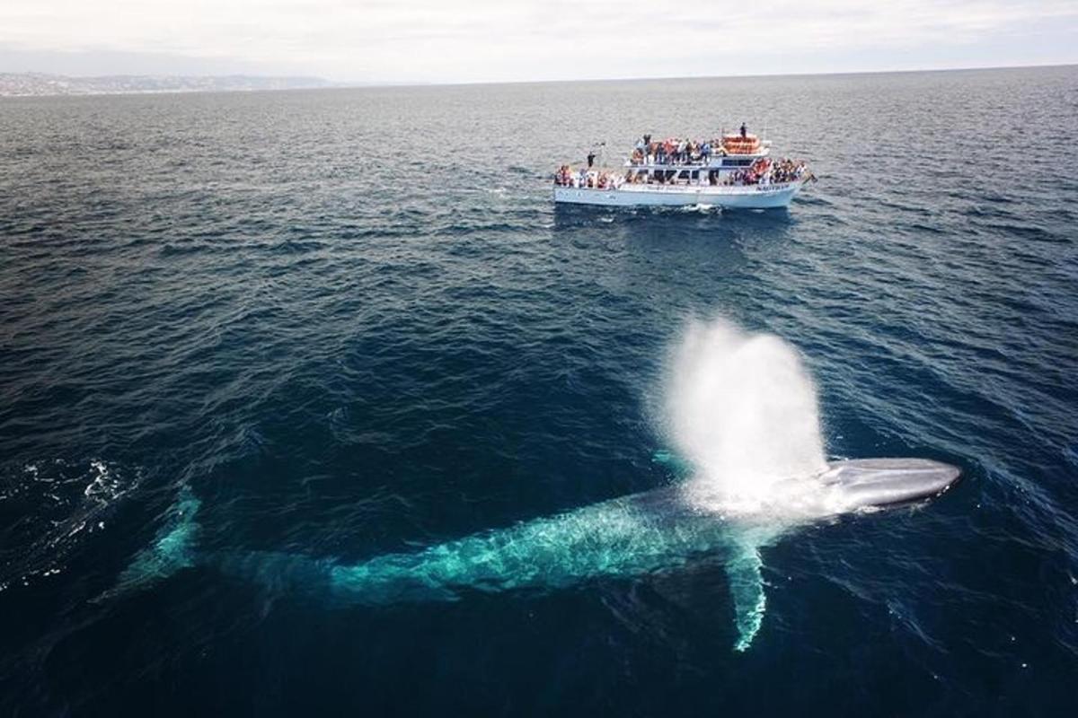un gruppo di persone su una barca nell'oceano
