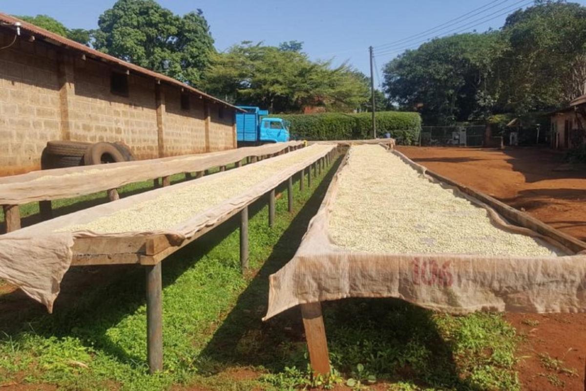 sebuah bangku kayu panjang yang duduk di sebelah bangunan