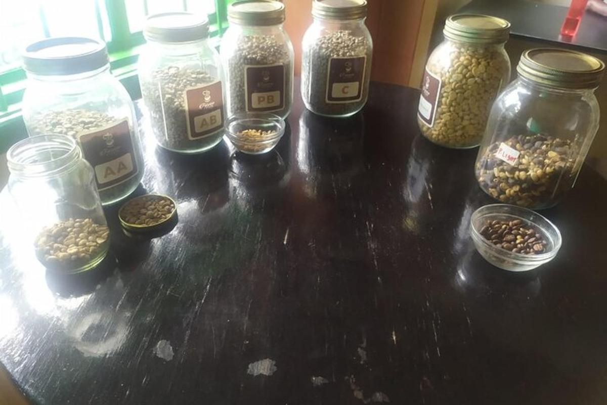 egy csoport üveg dió és mag az asztalon