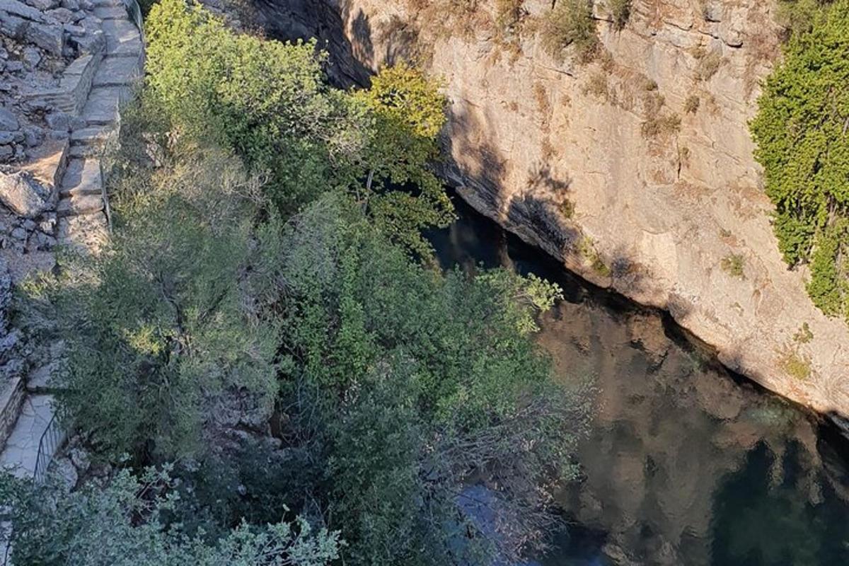 an overhead view of a group of trees on the side of a mountain