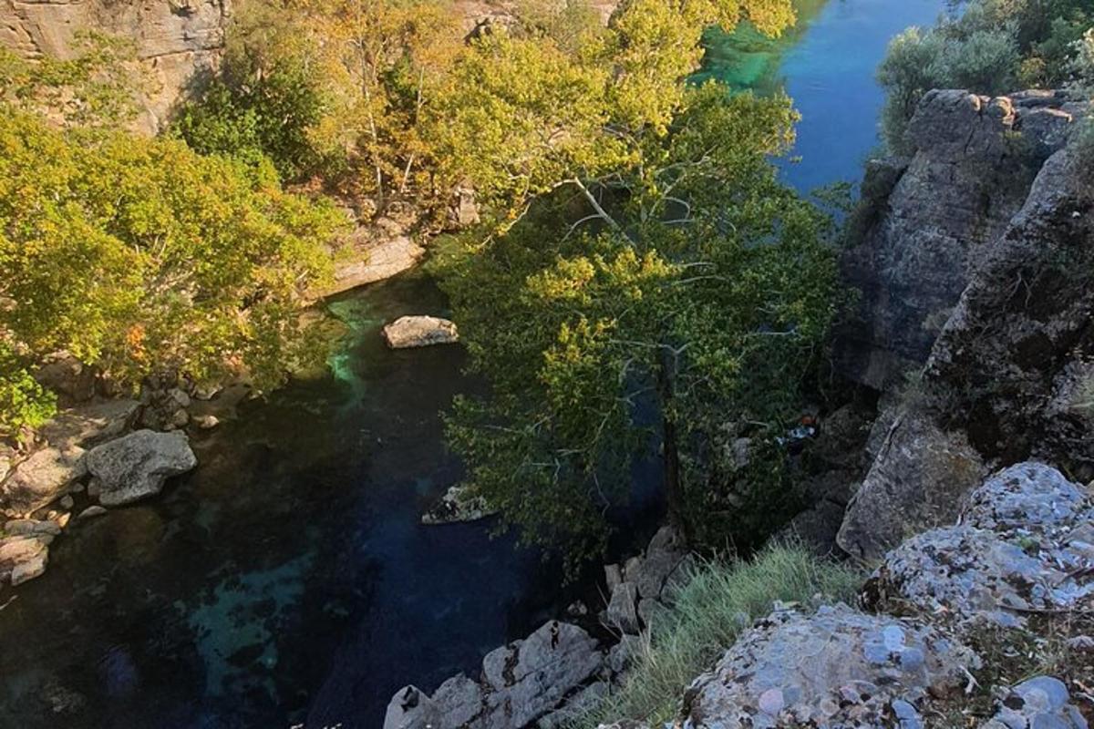 an aerial view of a river with trees and rocks