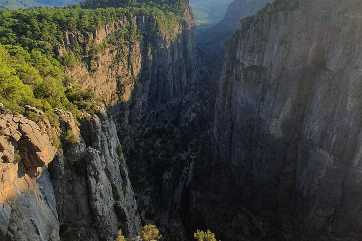 a view of a mountain cliff with trees on it