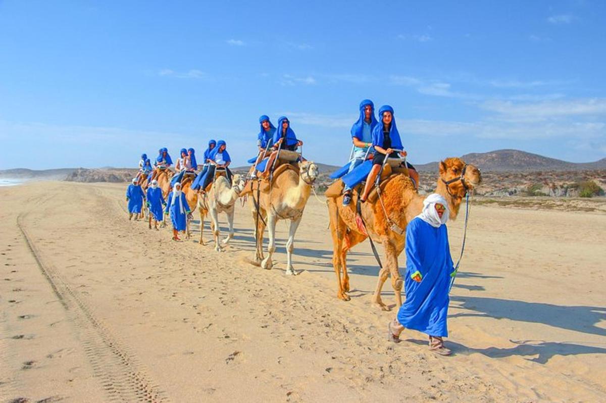 un grup de persones muntant camells a la platja