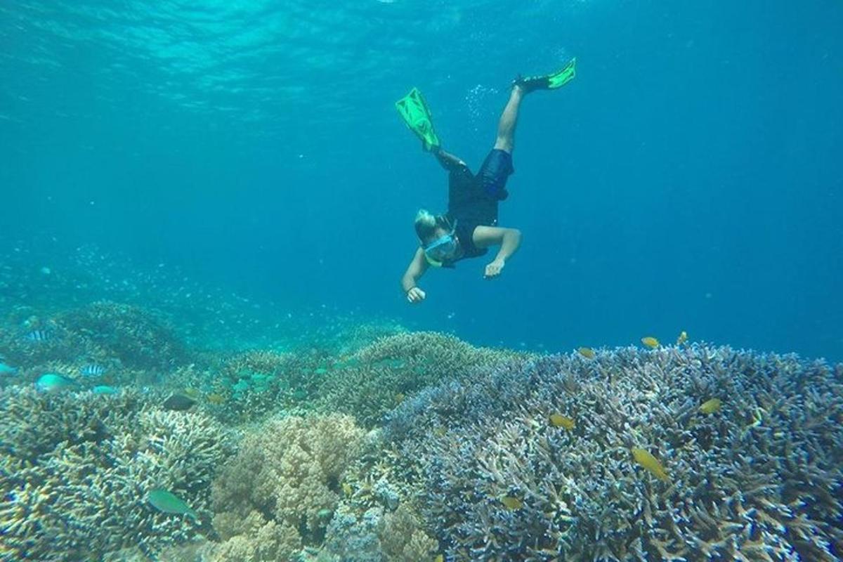a man is swimming over a coral reef