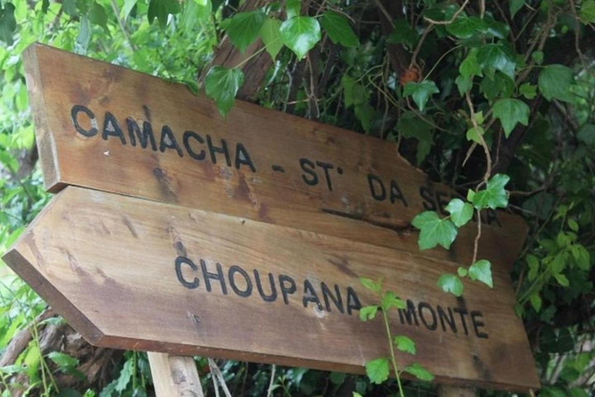 egy fa tábla, amelyen a következő felirat olvasható: camarica st dario chompamanna