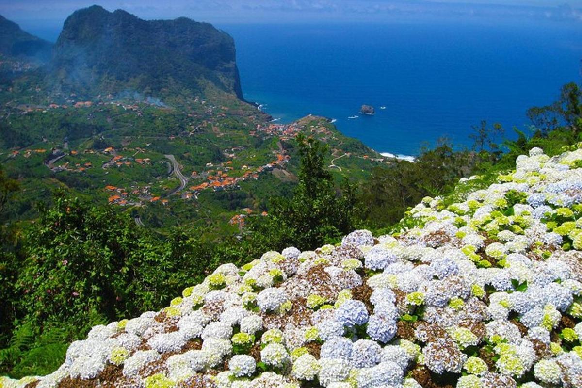 un ramo de flores en la ladera de una montaña
