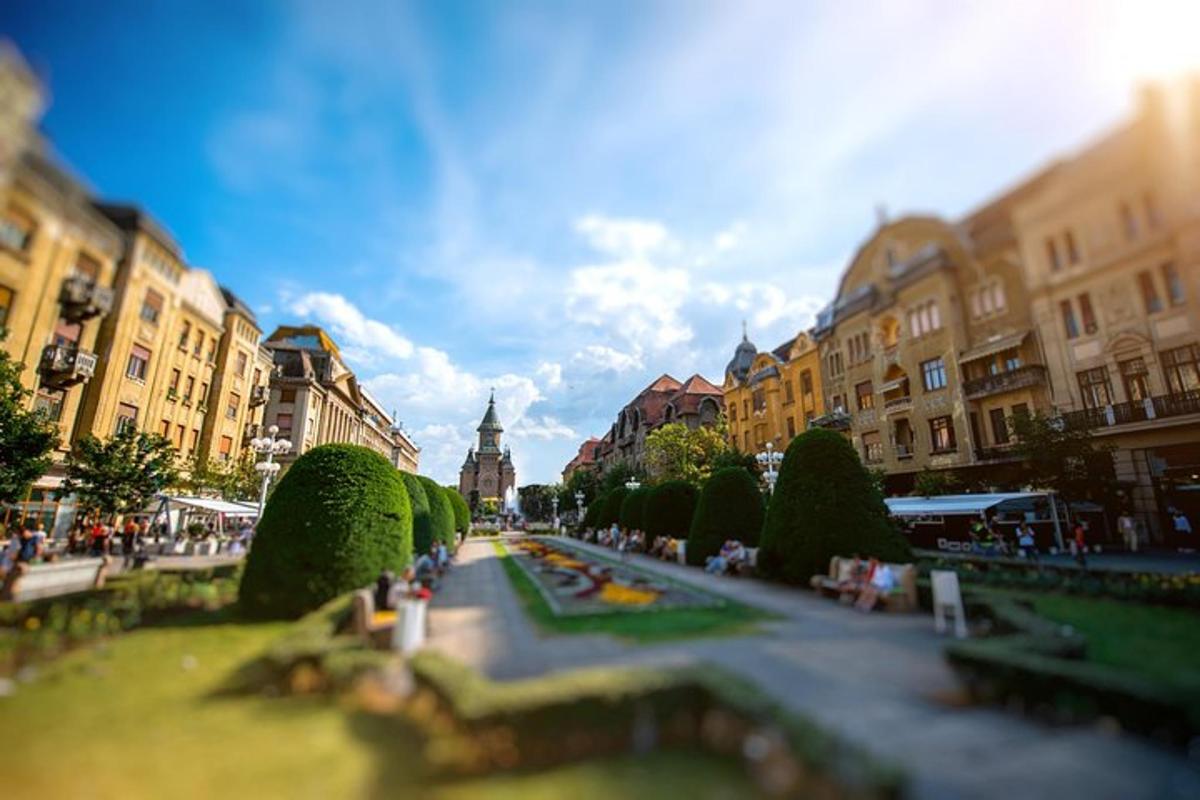 pohled na městskou ulici s budovami a stromy