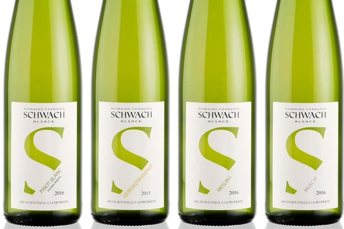 Initiation aux vins d’Alsace – photo 1
