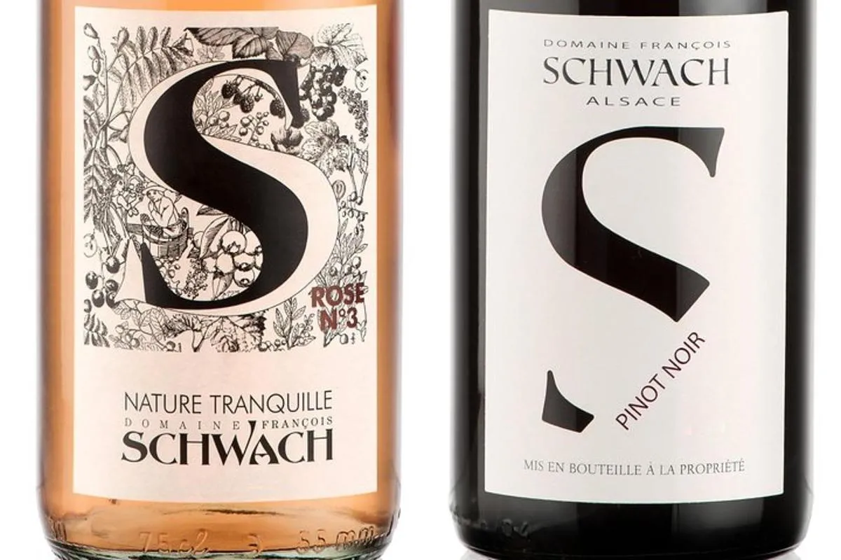 Colmar : initiation aux vins d'Alsace avec dégustation et bretzels – photo 4
