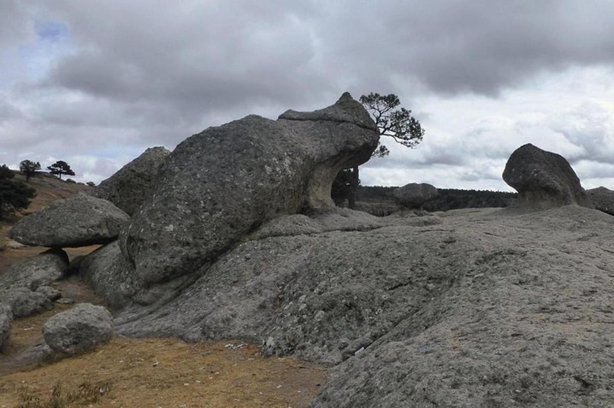 a pile of rocks on a field with a tree