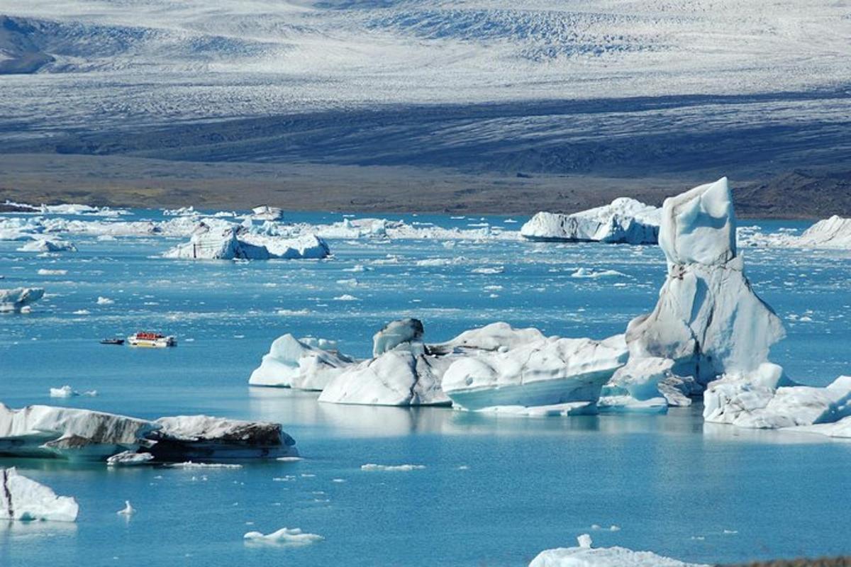a polar bear standing on icebergs in a body of water