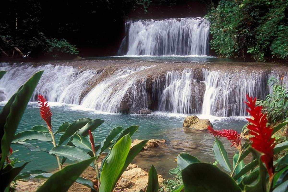 air terjun di taman dengan bunga merah di latar depan