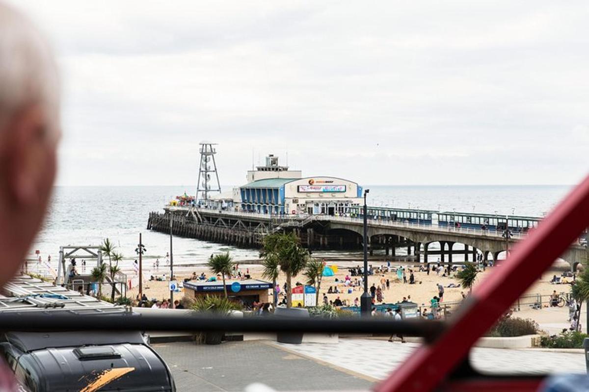 ein Mann, der einen Pier und einen Strand betrachtet