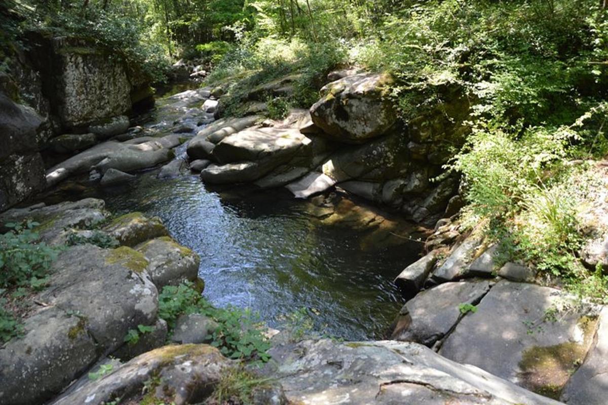 a stream of water with rocks and trees