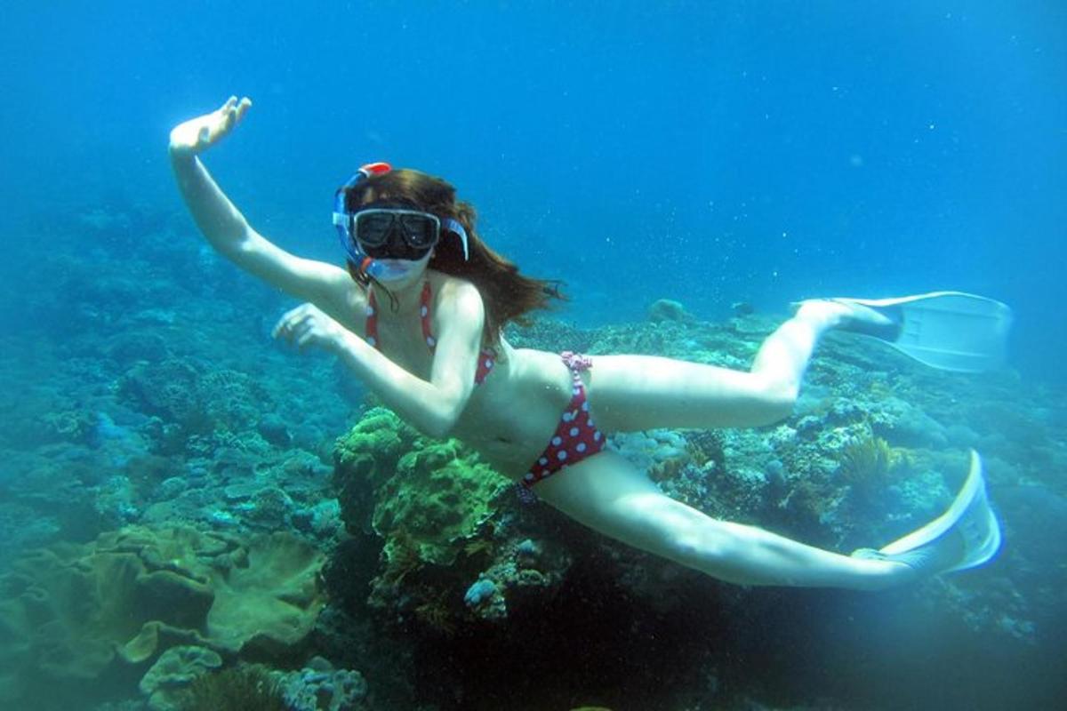 seorang wanita berbikini berenang di lautan