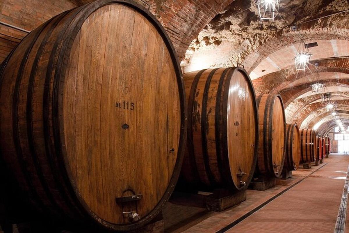 a row of wine barrels in a cellar