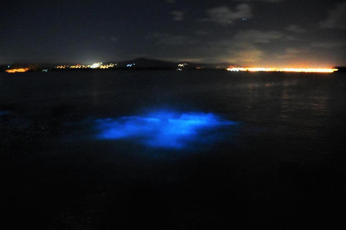 cahaya biru di atas air pada waktu malam