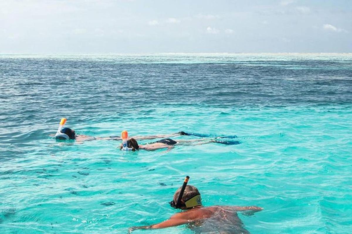 a group of people swimming in the ocean