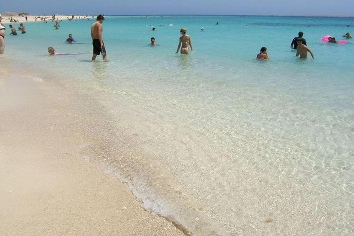 un gruppo di persone in acqua sulla spiaggia