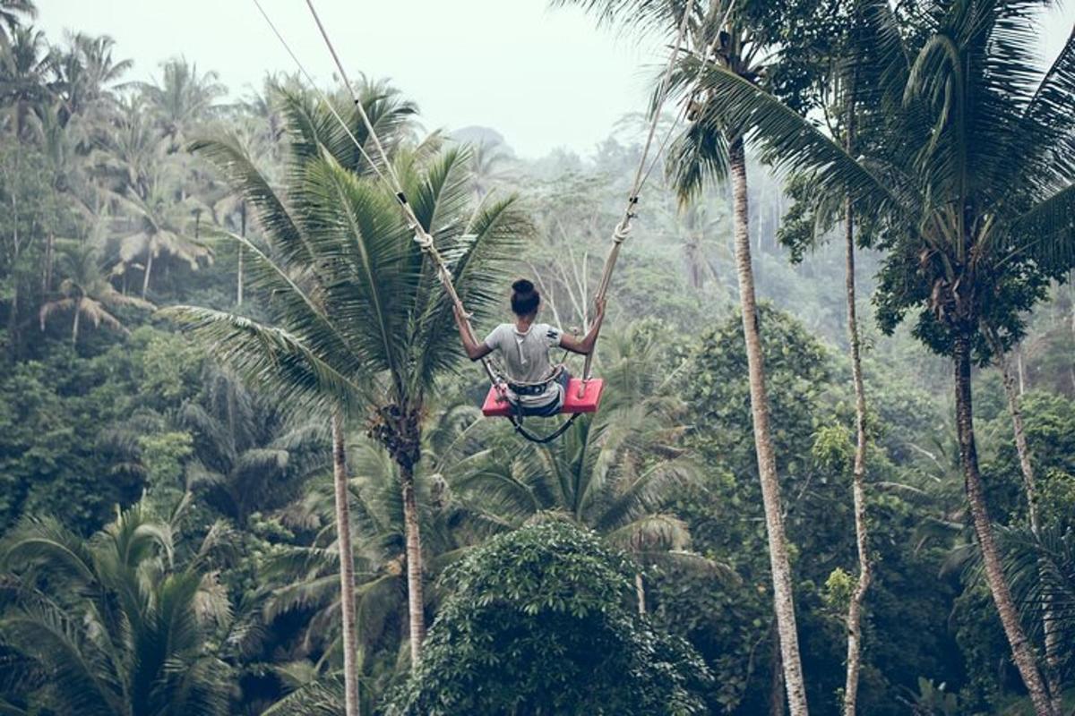 seorang lelaki di atas buaian tali di dalam hutan