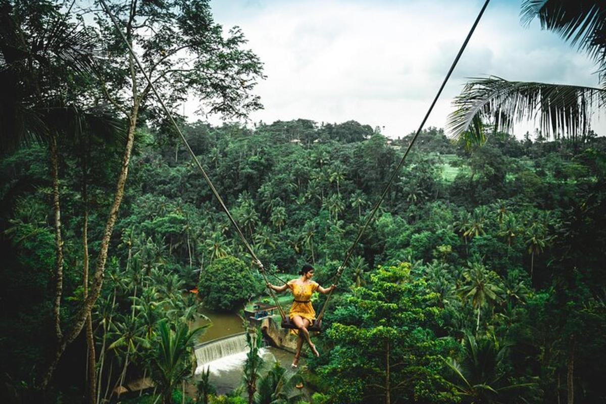 một người trên đường trượt zipline trong rừng