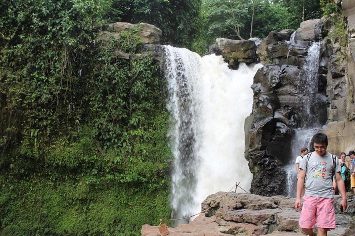 seorang budak lelaki berdiri di hadapan air terjun