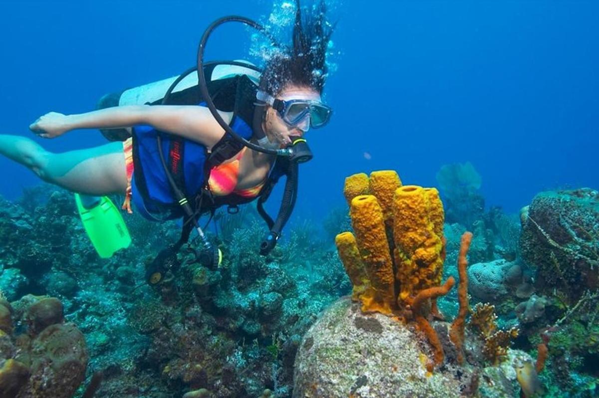 o femeie face scufundări în ocean
