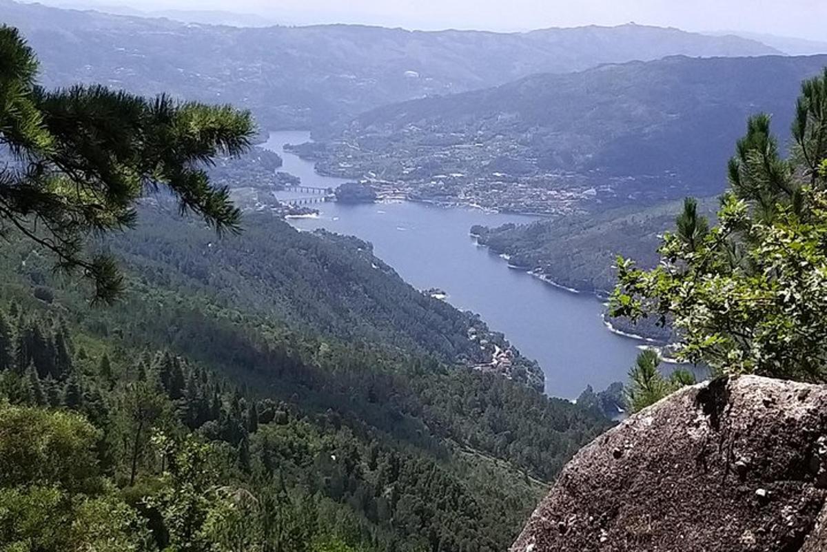 pohled na jezero v údolí se stromy